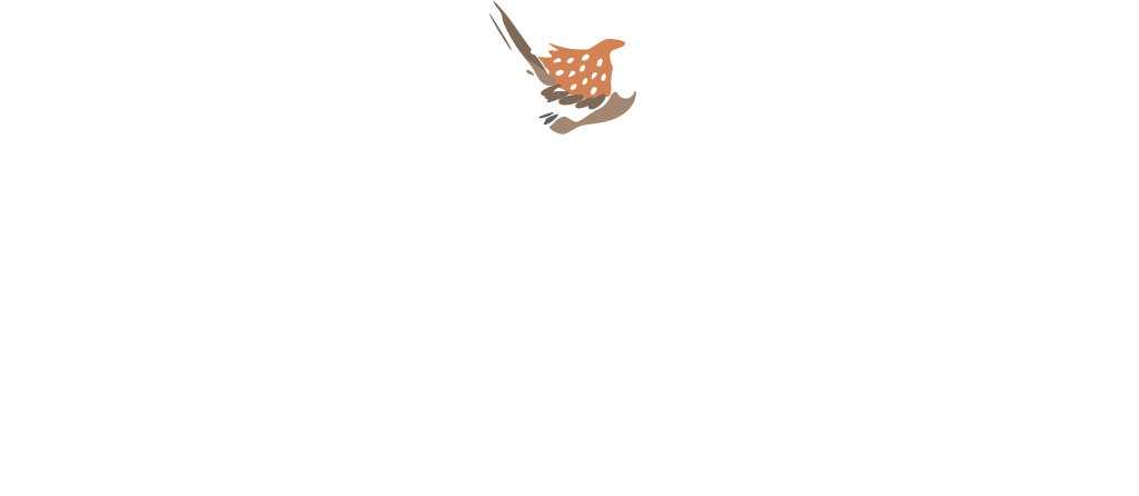 Чито Гврито ресторан грузинской кухни